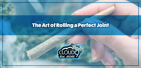 The Art of Rolling a Perfect Joint