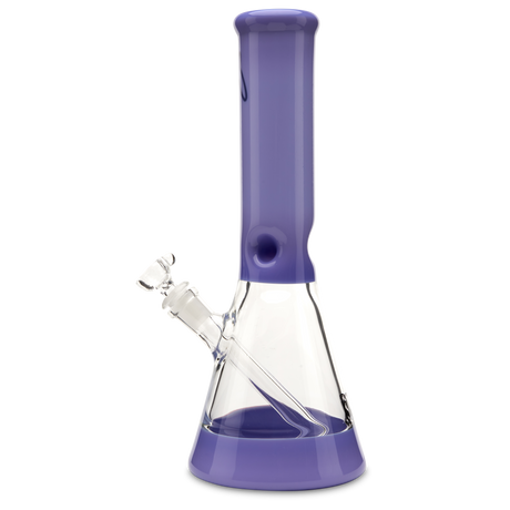 Mav Glass Full Color Mini Beaker